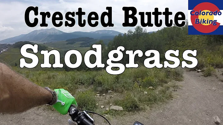 CO MTB | Crested Butte | Snodgrass (and Teddy's)