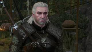 AMD Radeon ReLive Recording Testing - The Witcher 3