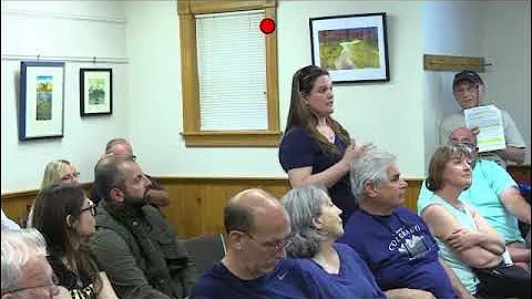 Jennifer Merrill at VDOE Public Hearings 5 14 22