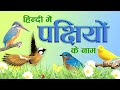 Bird Names in Hindi | पक्षीयों के नाम हिंदी में | Hindi Bird Names For Children