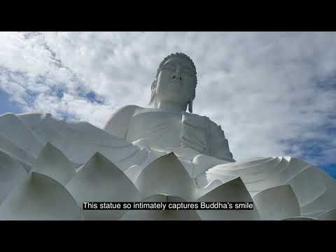 Exploring Tranquility: Visiting