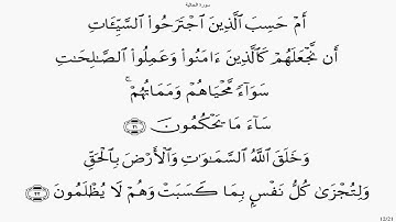 سورة الجاثية بصوت علي الحذيفي