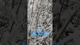 Glory be to the newborn king. #kingJesus  #John316 #Jesus.