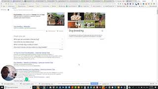 Details SEO Keyword Research Strategies News