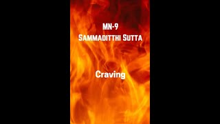 Video Download