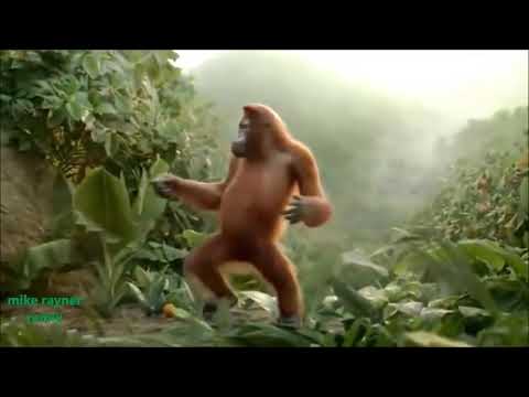 Ape dance