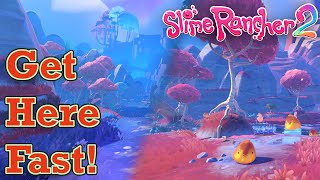How To Find The Starlight Stand Slime Rancher 2 Guide