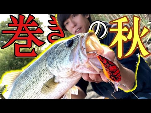 琵琶湖 巻き物の秋到来 まさかの連発劇に バス釣り Youtube