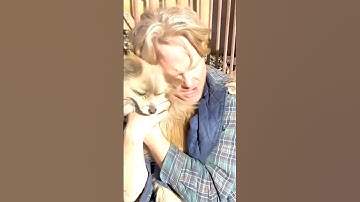 Palisades man REUNITES with dog who was lost during the fire 🙏🥹