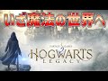 〇LIVE【ホグワーツレガシー】アーリーアクセス！魔法の世界を存分に堪能します！＃2【Hogwarts Legacy】