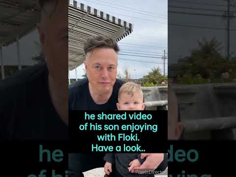 Elon musk shares