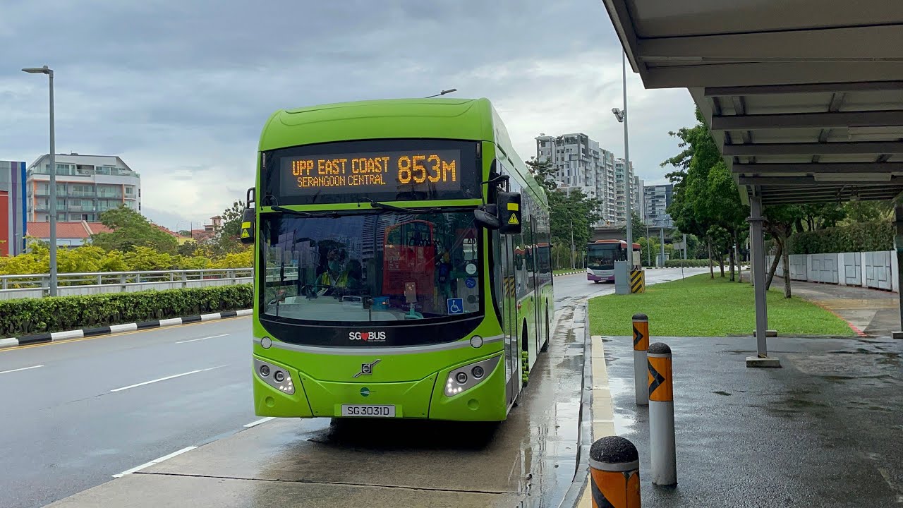 [1/3] Tower Transit SG Volvo B5LH Hybrid [SG3031D] on Service 853M