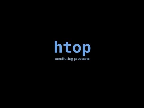 ቪዲዮ: የ Htop ውፅዓት እንዴት እንደሚተረጎም