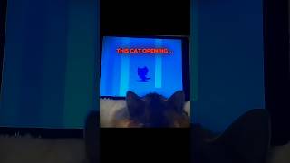 Others Cats Opening Vs This Cat