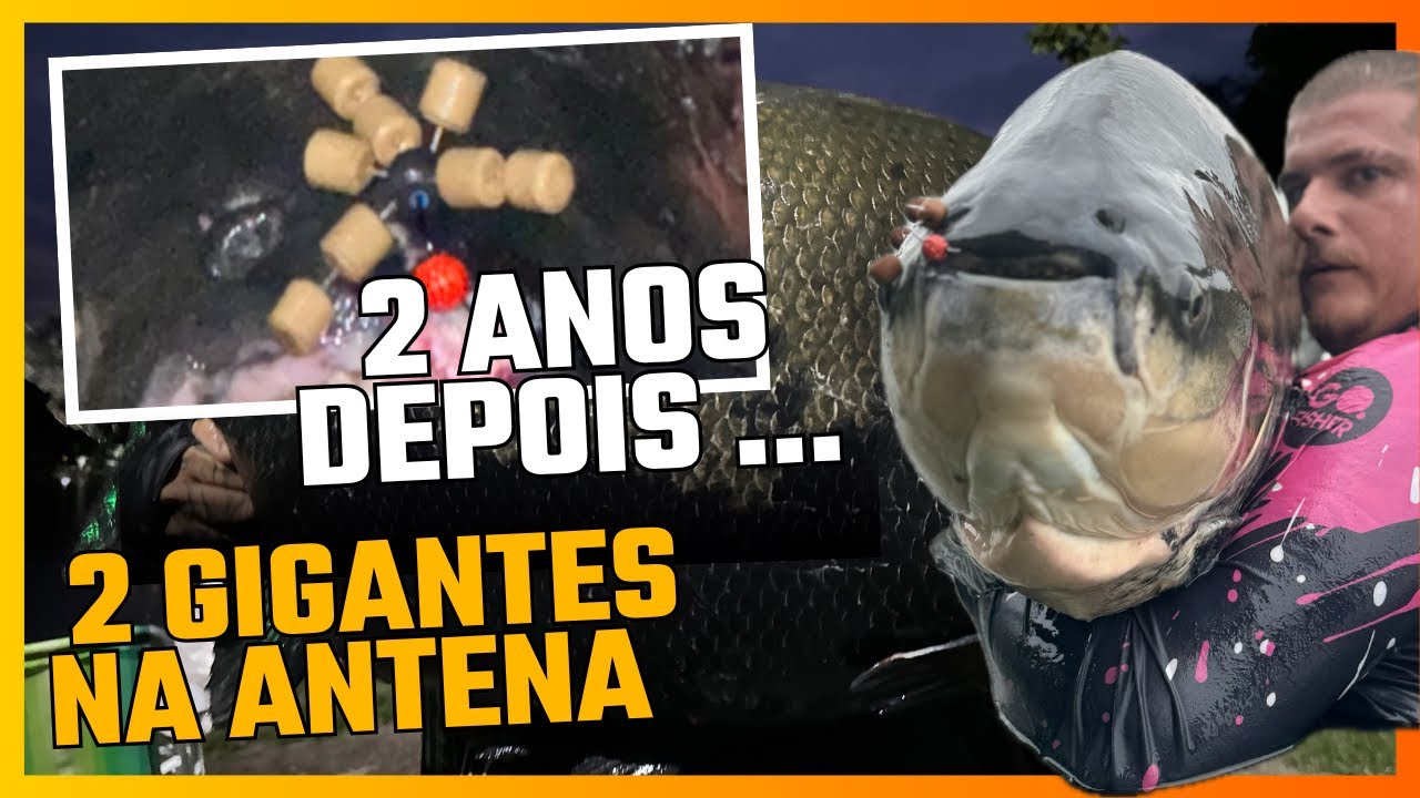 VOLTAMOS/CORREGO DAS ANTAS/MUITO TAMBAQUI NA ANTENA/TRINTAMOS/