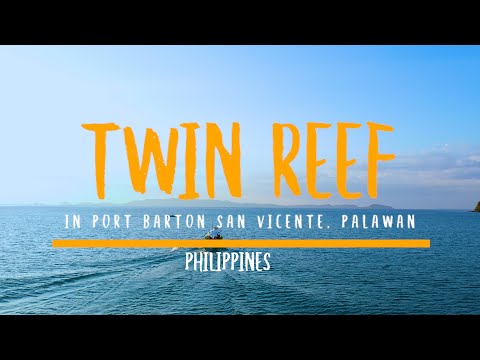 Twin Reef in Port Barton, San Vicente, Palawan, Philippines