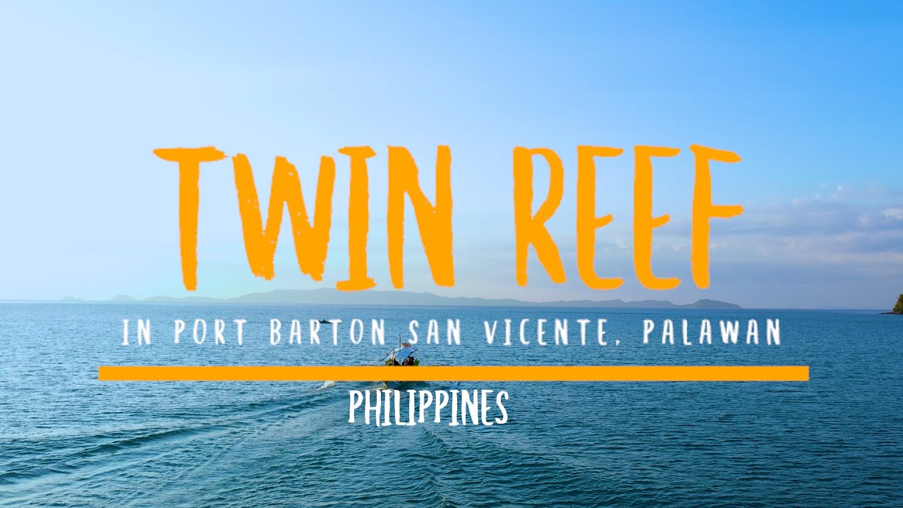 Twin Reef in Port Barton, San Vicente, Palawan, Philippines