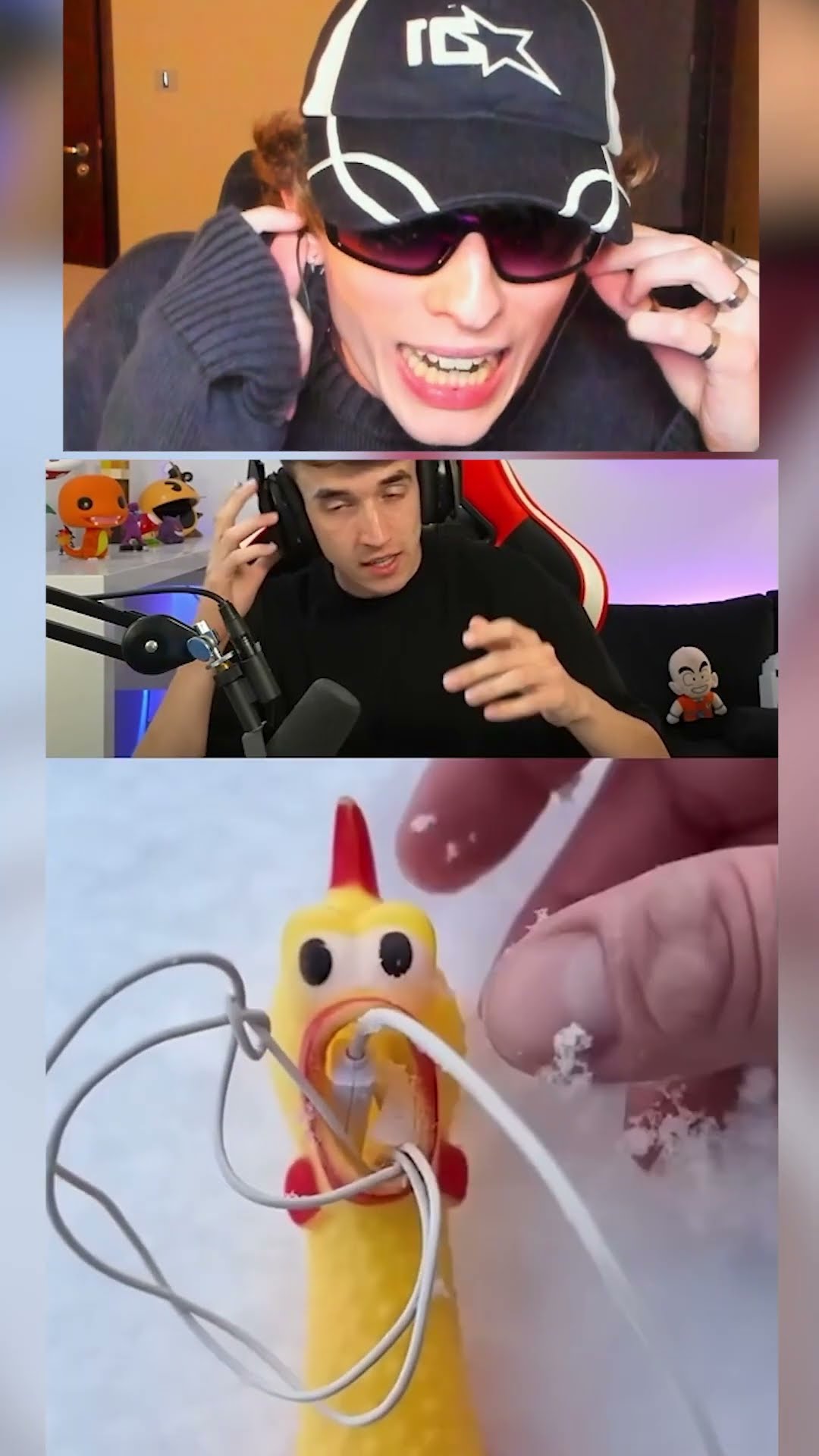 Un POLLO con AUDIFONOS???