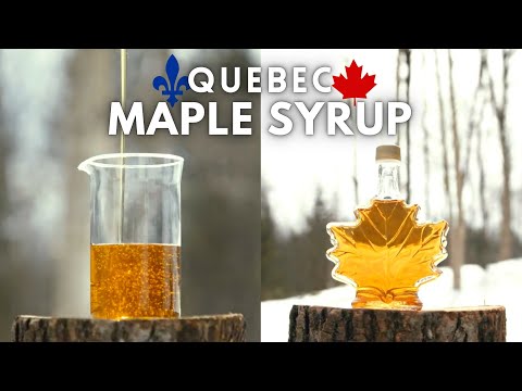 Video: Maple Sugaring Getaways - Nordöstra USA & Kanada