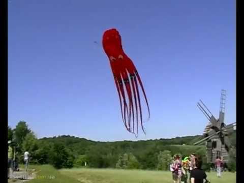 Воздушный змей Осьминог (Big octopus kite 3D) на www.svetilki.com.ua