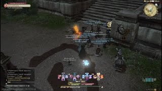 FINAL FANTASY XIV EndWalker MSQ: A Fishermans Friend