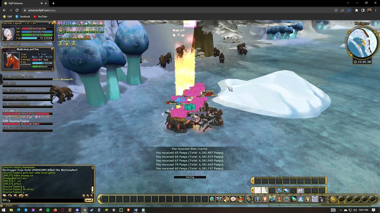 FlyFF Universe Battle RM