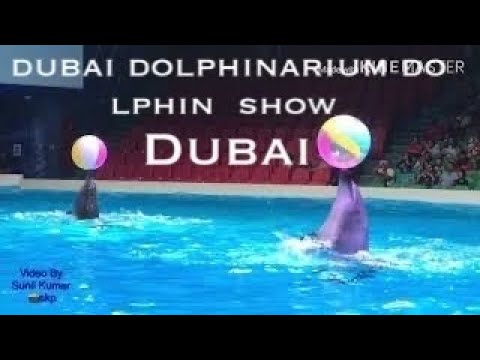 Dubai Dolphinarium Show Video By Sunil Kumar Bhandary Karkala