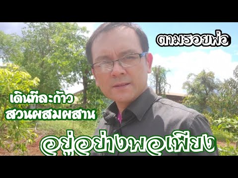 เกษตรทฤษฎีใหม่.สวนผสมผสาน.เศรษฐกิจพอเพียง
