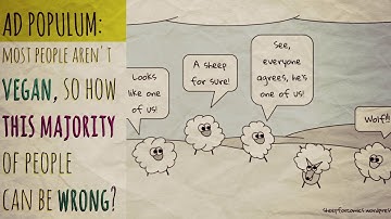 THE FALLACY SERIES: The 