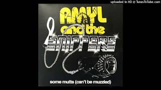 Amyl and the Sniffers - Some Mutts