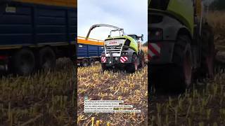 Corn Harvesting Machine Boosts Yield, Cuts Labor Fast #CornHarvester #FarmEfficiency #AgriTech