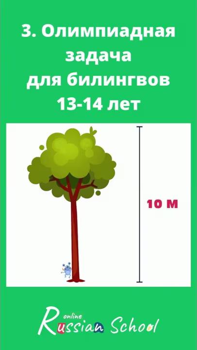 3.Задача для 13-14 лет. Олимпиада по математике. Специализированные задачи для двуязычных подростков