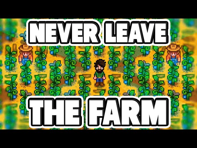 Earning $1,000,000 Without Leaving The Farm in Stardew Valley - DPadGamer class=