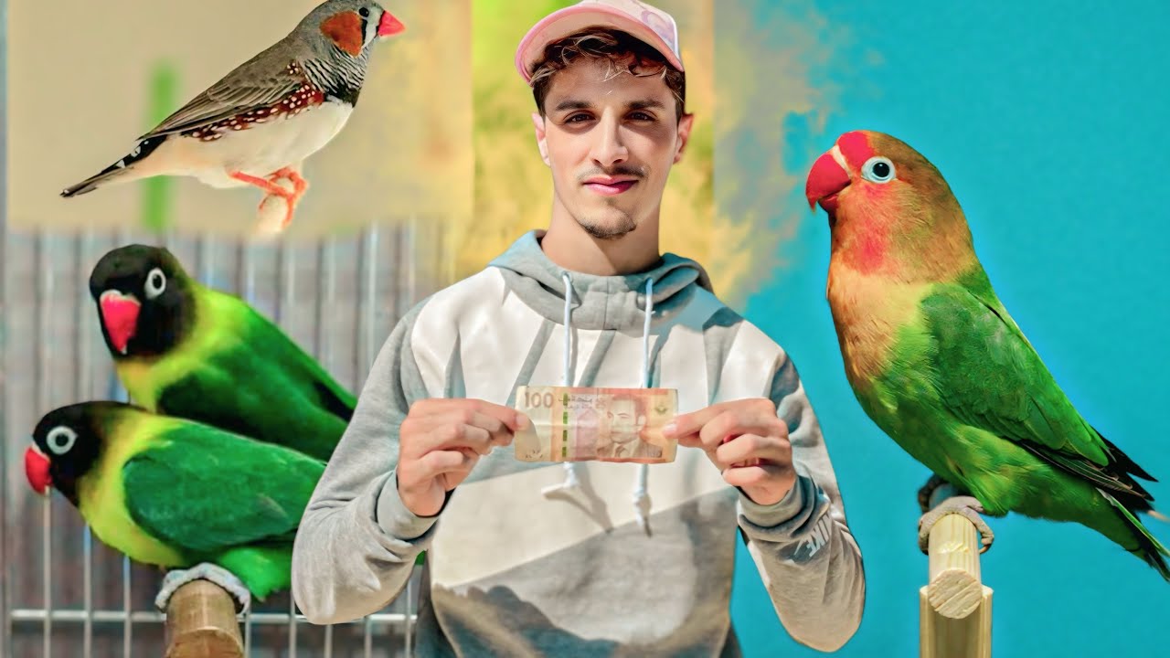 سوق طيور بفاس باب الكيسة الأحد 😱اجي تشوفو شنو خديت 😍❤️‍🔥