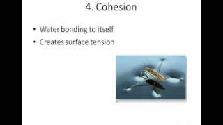 properties of water