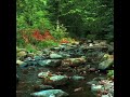 nature edit | #edit #nature #shorts #viral #shortsfeed