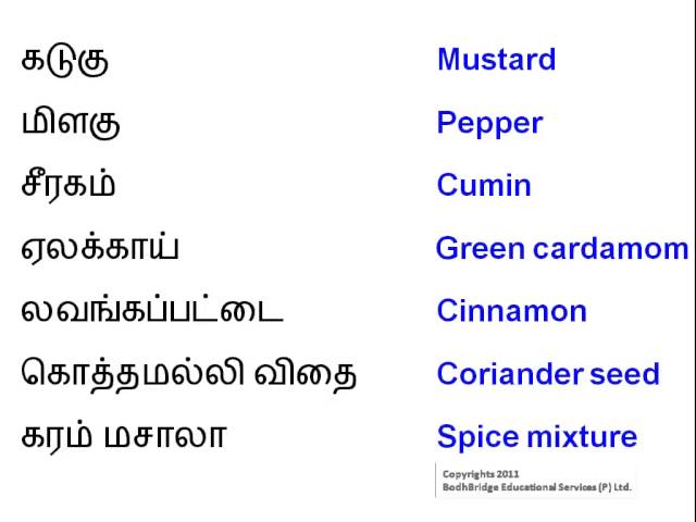 Learn English Through Tamil Es