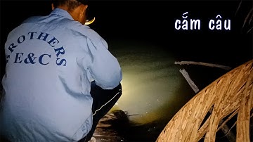 CSRV 136 | CẮM CÂU CÁ LÓC bằng mồi dế sau những ngày mưa liên tục