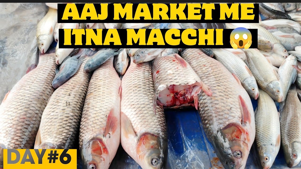 Aaj Dadi Ke Sath Market Gaya Tha 🙂 | Ramadan 30 days challenge day 6 completed ✅👍