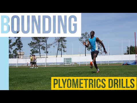 BOUNDING & SEASON TRANSITION