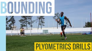 BOUNDING & SEASON TRANSITION