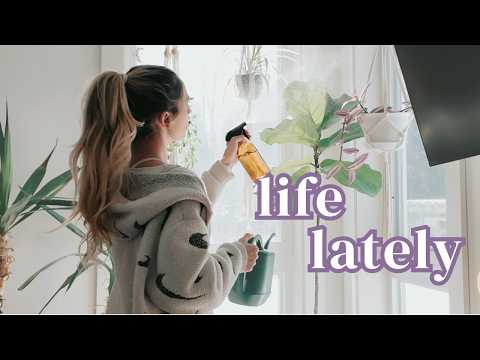 A Week with Me | groceries, resetting my office & life’s highs and lows