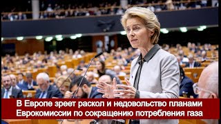 В Европе зреет раскол и недовольство планами Еврокомиссии по сокращению потребления газа