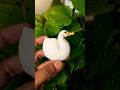 Soft Clay Swan 🦢 Making Satisfying DIY Clay Art #Shorts #diy #asmr #viral #2026 #art #swan #clayart