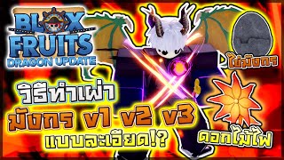 Blox Fruits UPDATE 24: 🐲 วิธีทำเผ่ามังกร v1 v2 v3 แบบละเอียด!! สอนหาไข่มังกรและบอกจุดเกิดดอกไม้ไฟ!? screenshot 1