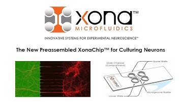 The New Preassembled XonaChip™ for Culturing Neurons