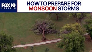 How to protect your home from monsoon storm damage | FOX 10 Phoenix