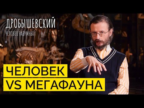 Почему вымерли гигантские животные? // Дробышевский. Человек разумный