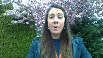 Scenic Hill Walk-A-Thon Video 2