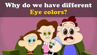 Why do we have different Eye colors? + more videos | #aumsum #kids #science #education #children